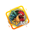 6565