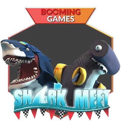 ahahoki.com