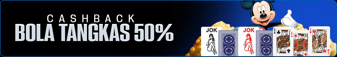 afadisk.com