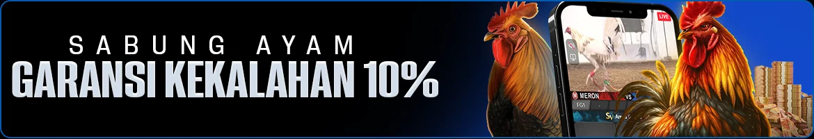 afapoint.com