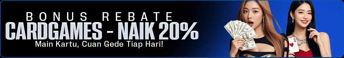 afadisk.com