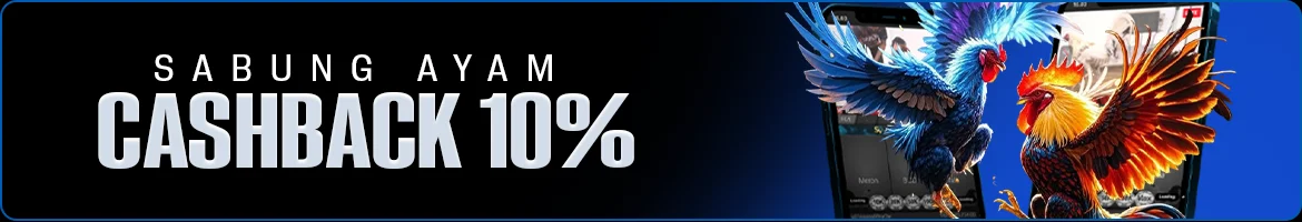 afadisk.com