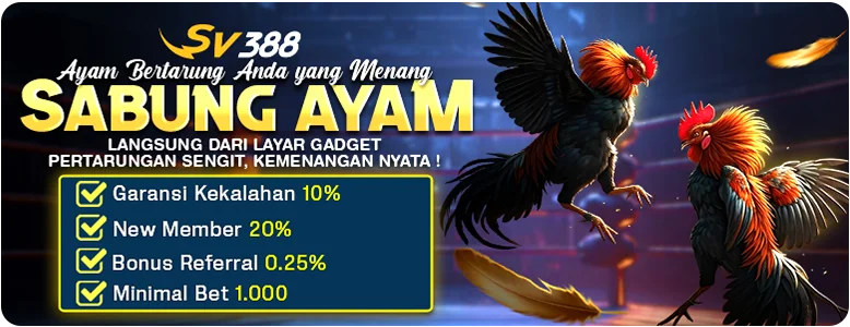 afamage11.com