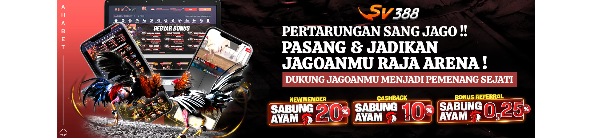 ahapetir.com