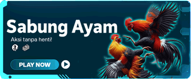 cockfight