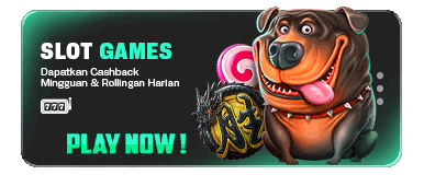 www.vegaswinner07.com