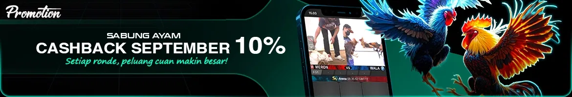 gitarmerdu.com