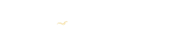 jayalution.com