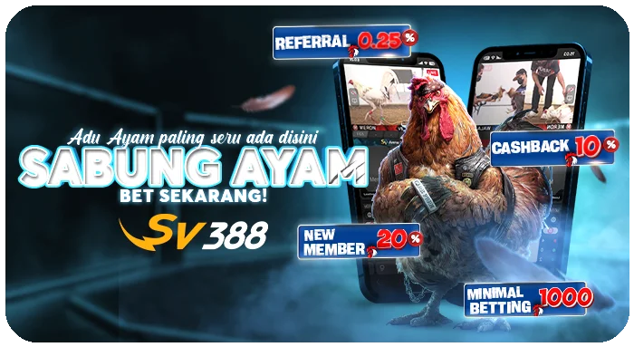 boyapro19.com