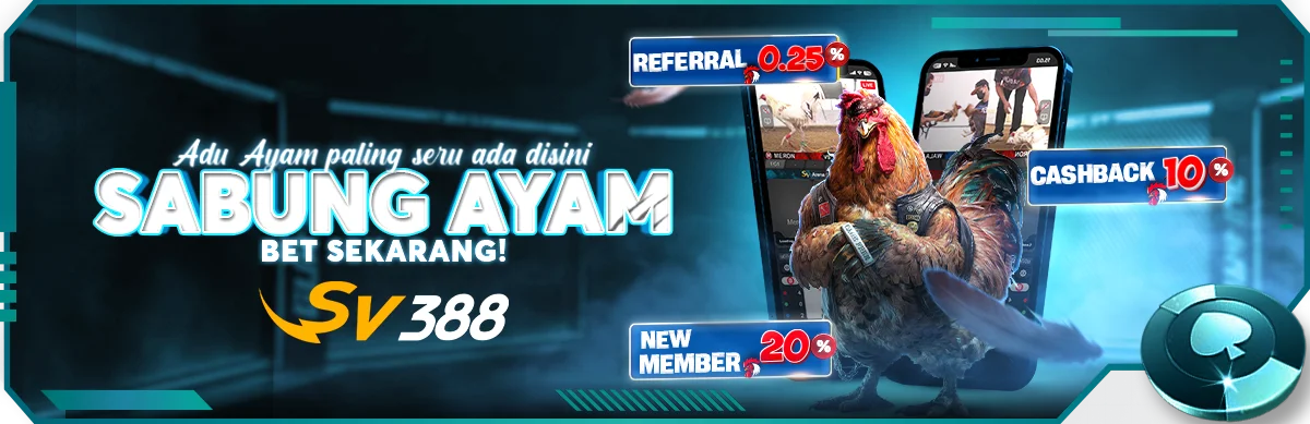 boyapro19.com