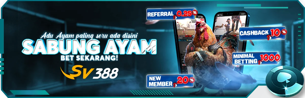 boyapro20.com