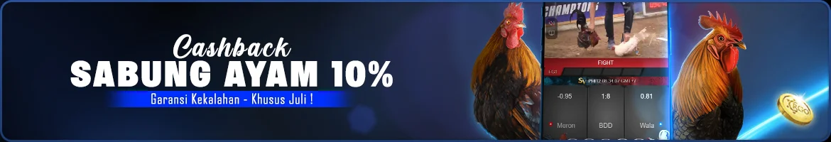 rgobox35.com