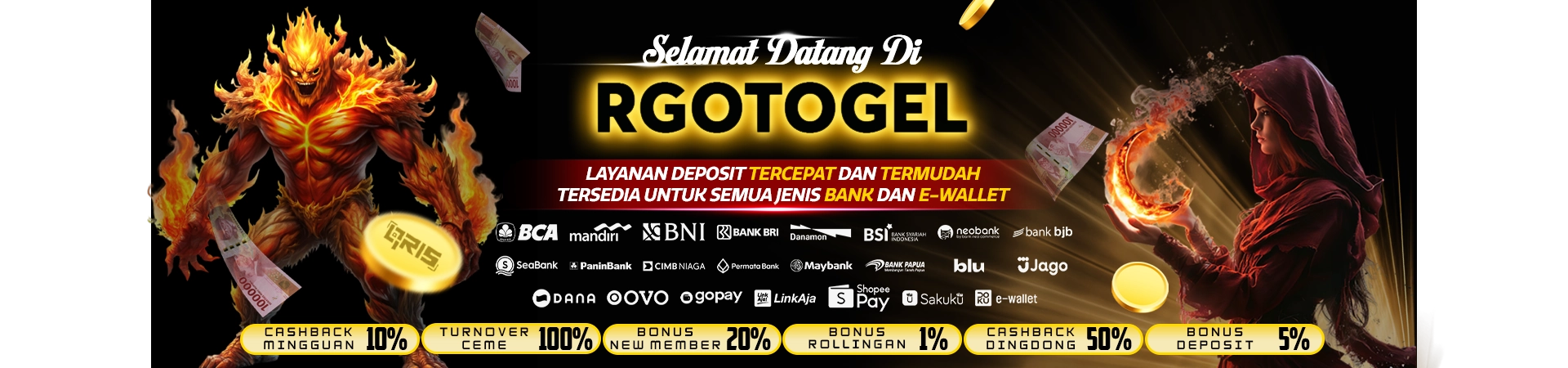 rgohoster.com