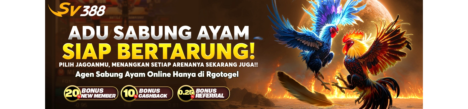 rgonet.com