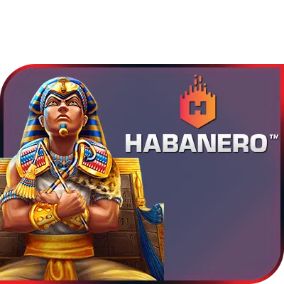 idtmain.com