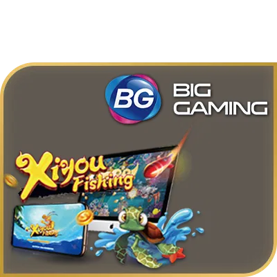 rgofighter.com