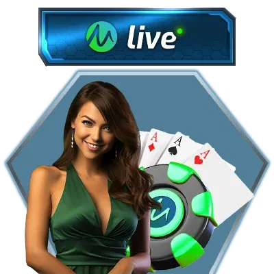 bolaconnect.com