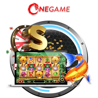 bolaconnect.com