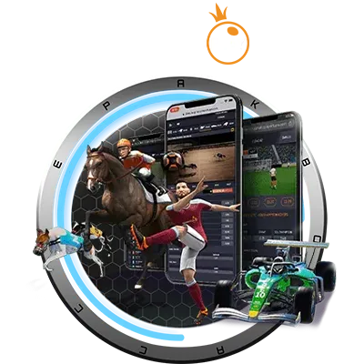 bolaconnect.com