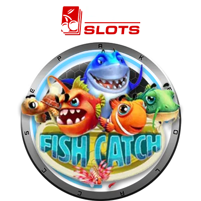 bolasquad.com