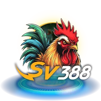 sabung ayam