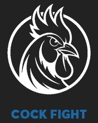 Cock Fight