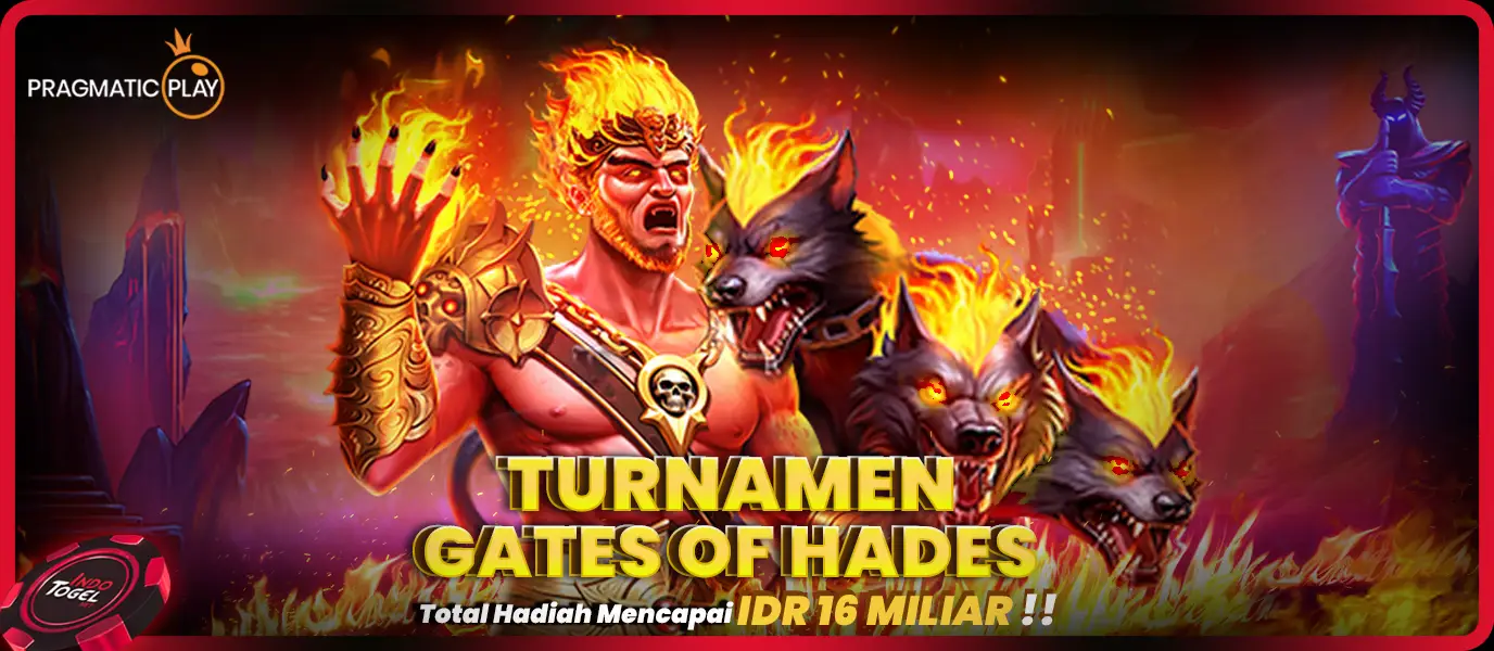 nhhgppblgcyybuue49tp.idtown12.com