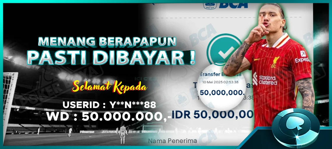 boyasolid8.com