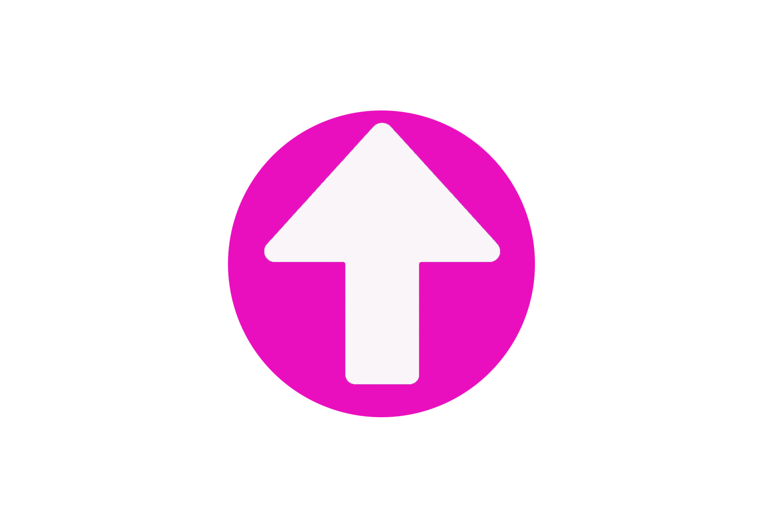 Scroll to Top