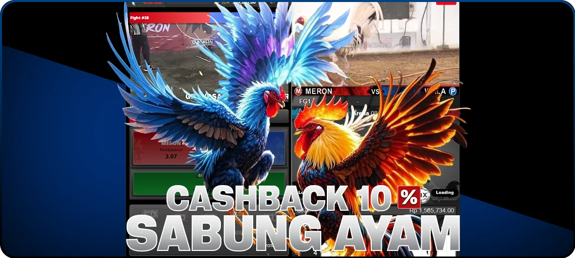 test-user6.dns-int-hkb.com