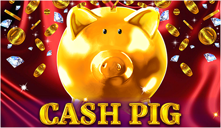 Cash Pig