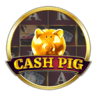 Cash Pig