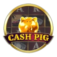 Cash Pig