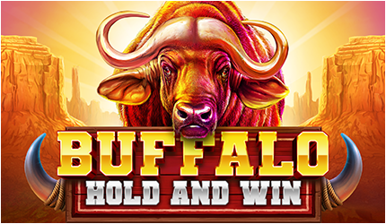 Buffalo Hold and Win