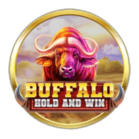 Buffalo Hold and Win