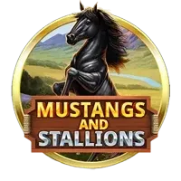 Mustangs and Stallions