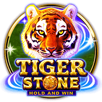 Tiger Stone