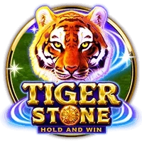 Tiger Stone