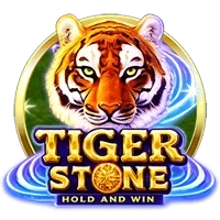 Tiger Stone