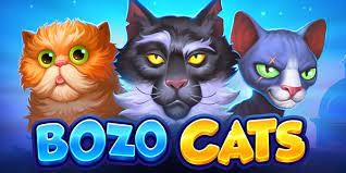 BOZO CATS