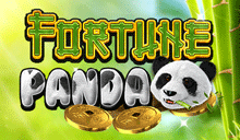 Fortune Panda