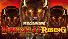 Buffalo Rising Megaways