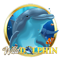 Wild Dolphin