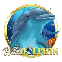 Wild Dolphin