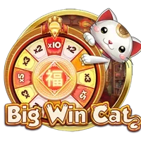 Big Win Cat