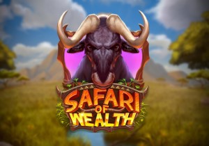 Safari of Wealth