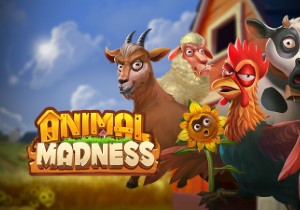 Animal Madness