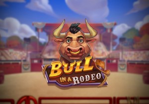 Bull in a Rodeo