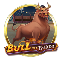 Bull in a Rodeo