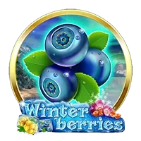 Winterberries